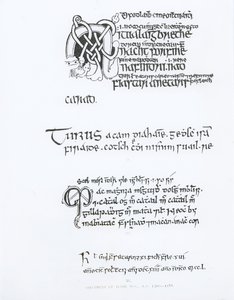 アイルランド写本の標本、1300〜1588年